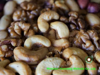 Sweet and Crispy Chinese Walnut kernels light amber