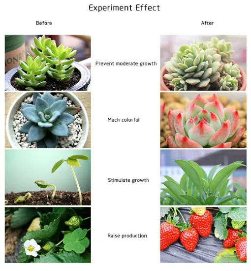 Perfect LED Grow Lights for Indoor Plants