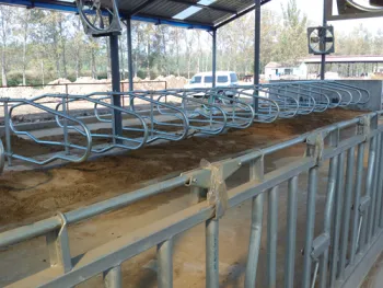 long span Customized design steel structurecowshed