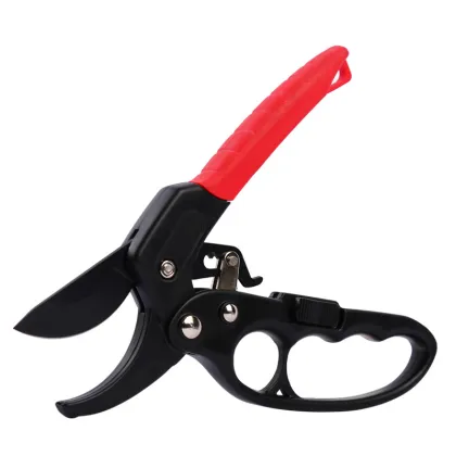 Top Quality Garden Tools: Fruit Pruning Shears, Garden Shears for Small Hands