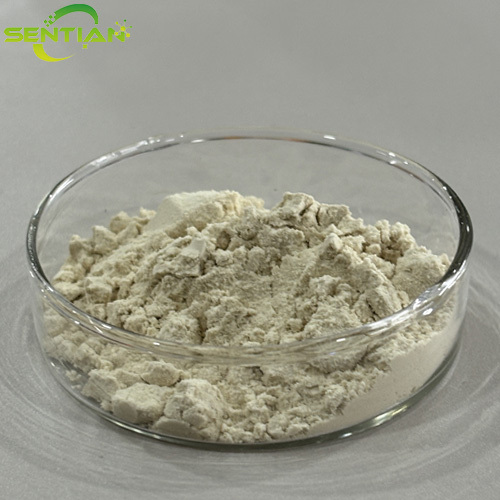 High-Quality Yeast Protein Extracts