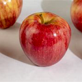 Deliciosa manzana de gala real