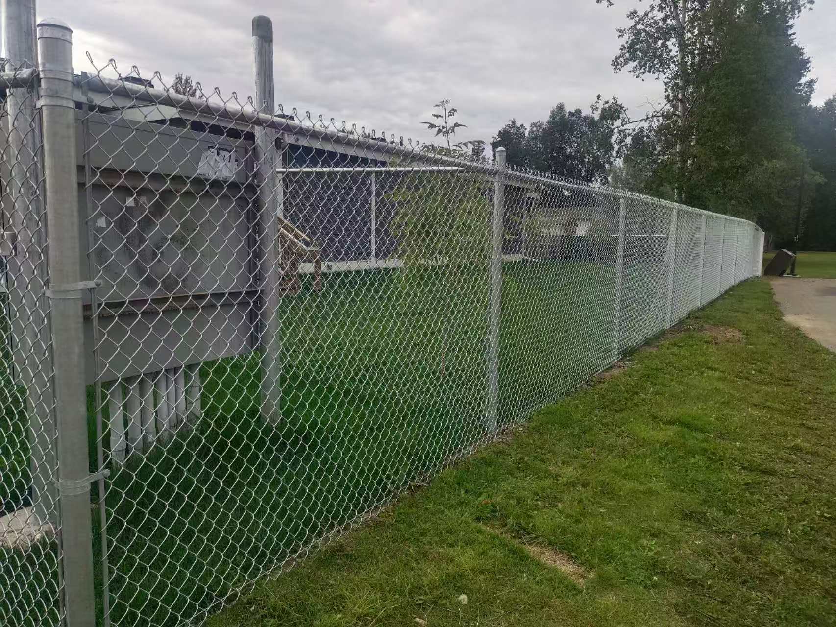 chain link fence (6)