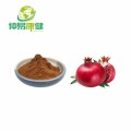 Pomegranate peel extract 40%Polyphenols