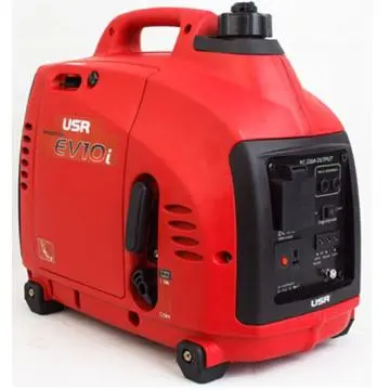 1kw Permanent magnet generator EV10i