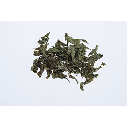 Chất lượng cao Mentha haplocalyx Briq.