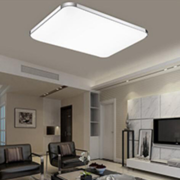 LED Lamps Aluminum Apple Design LED Ceiling Light LED Panel Light Indoor Use