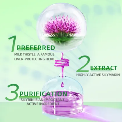 Organic Milk Thistle Supplement Supprort Liver Function