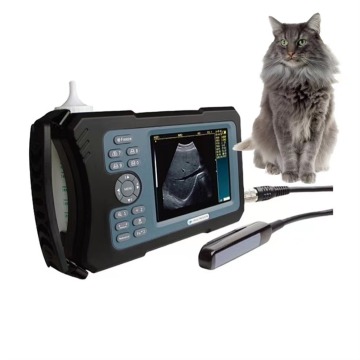 Máquina de ultrassom veterinária digital portátil para gato