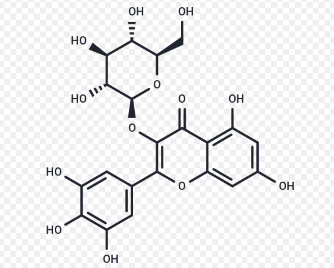 Myricetin for Dietary Supplements