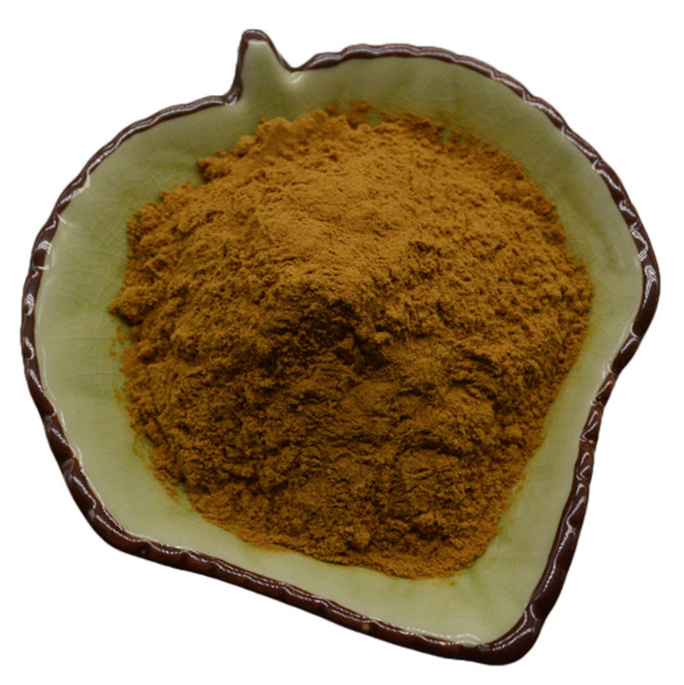 St John S Wort Extract Powder