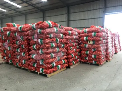 Fresh Onions of All Sizes