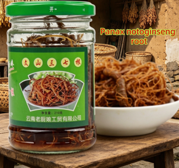 High Quality Panax Notoginseng Root Extract