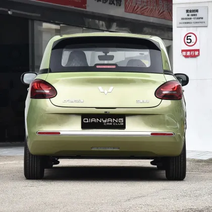 Dongdong High Speed Mini Electric Car Wuling Bingo 2023 333KM for Russia and Uzbekistan