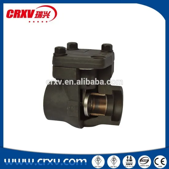 Swing Check Valve Anatomy Image