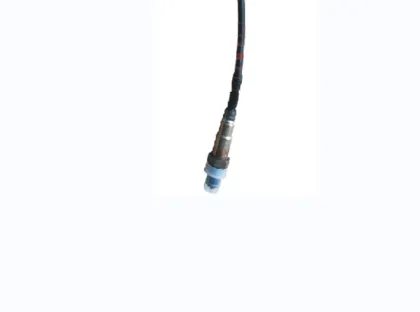 Wuling Zhiguang N1 and Xingxing N7 oxygen sensors