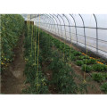 Commercial film greenhouses greenhouse agricultural