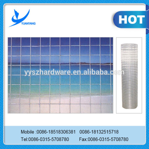 Supply good quality stron welded wire mesh made in china