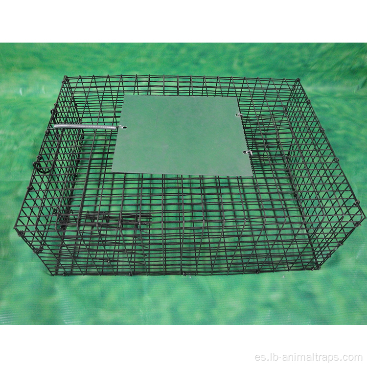 Humano reutilizable Humano Vive Animal Trap de jaula