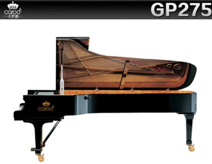 Music show piano