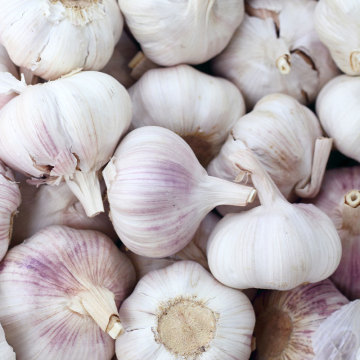 مصابيح الثوم المدمجة الطازجة لتخزين المطبخ