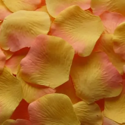 Silk Rose Petals