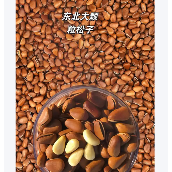 500g de Pinhão Física