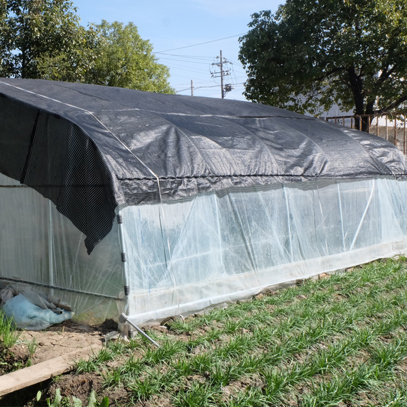 Tunnel Plastic Film Greenhouse for Vegetables Flowers