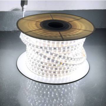IP65 Indoor Rope Lights with AC Controller - DMX LED Strip, 5050 High Voltage, Dimmable, and Waterproof RGB