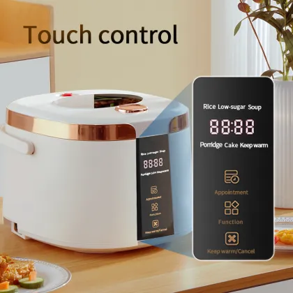 2025 New Low-Sugar Rice Cooker - OEM/ODM Smart Rice Cooker