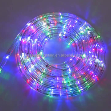 RGB LED Rope Light 220V/110V