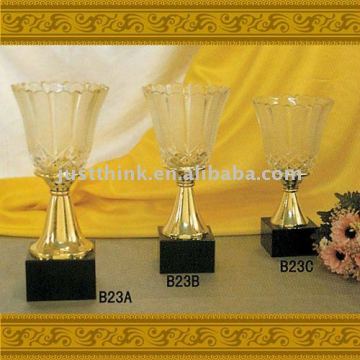Luxury Metal Trophy Award Cup FZ-HG-B23