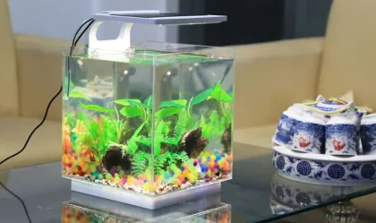 Acrylic fish tank bowl aquarium square quadrate fish tank mini fish tank