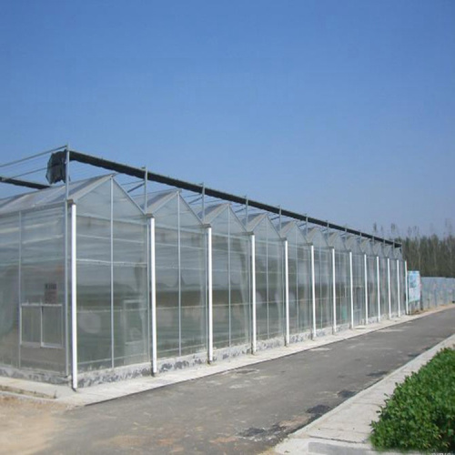 Horticulture à fleur de concombre de tomate Greenhouse en verre Venlo