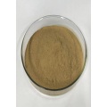 Factory Price Ginger Root Pregnancy Extract Powder