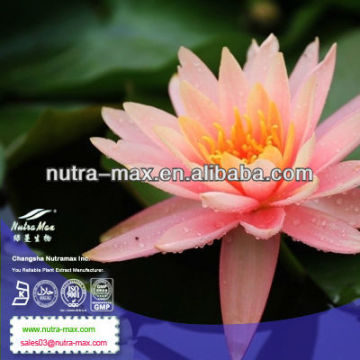 Factory Direct Supply Water Lily Extract Powder 60% Diterpene
