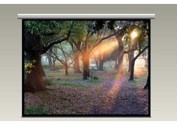 Large motorized projection  screen
