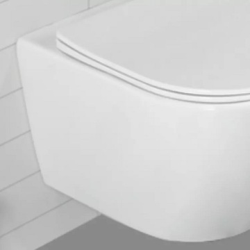 Nozzle Toilet Bidet European Standard Wall HungToilet