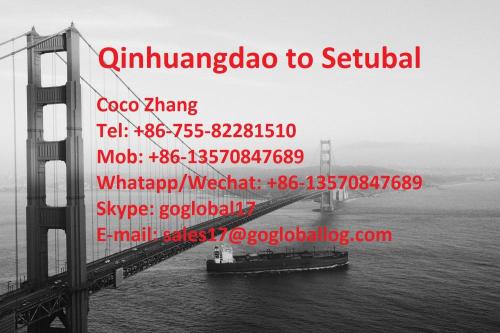 Hebei Qinhuangdao Seefracht nach Portugal Setubal