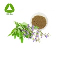 Salvia / Clary Sage Seed Extract Carnosic Acid