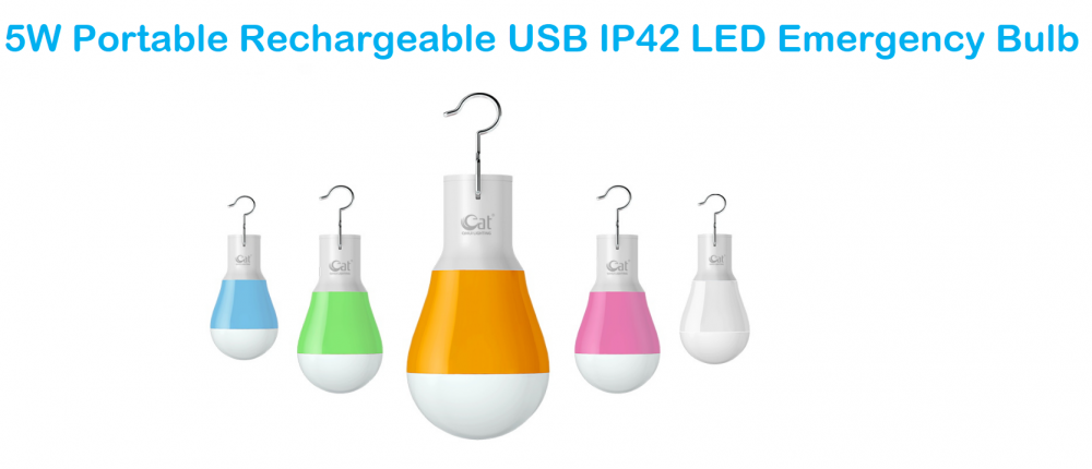 Draagbare oplaadbare USB LED-noodlamp