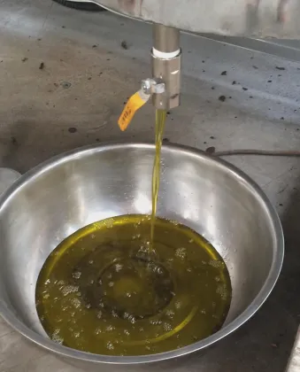 Small Capacity Soybean Extruder Sunflower Seed Oil Press Machine