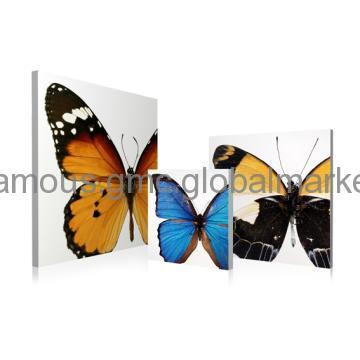 High Quality Modern Home Decoration Pictures Collection of butterfly