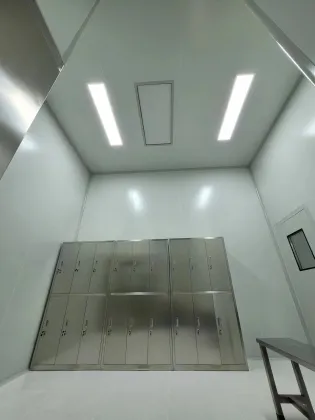 Clean workshop air shower room