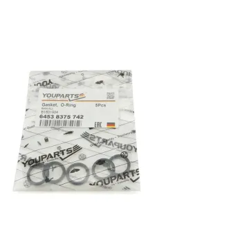 YouParts RTS 64538375742 Engine Gasket & Fuel Injector O-Ring Replacement Kit for BMW E90LCI/3