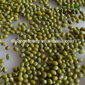 2013 Chinese Bulk Fresh Green Mung Bean For Sale