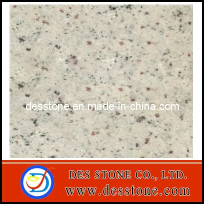 Flooring Granite Tile Regina White Countertop (DES-GT023)