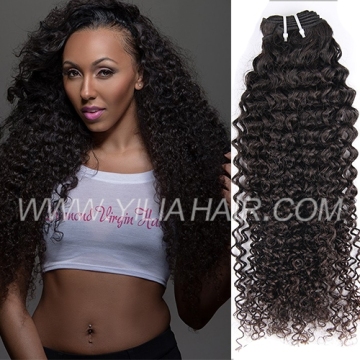 raw virgin indian hair