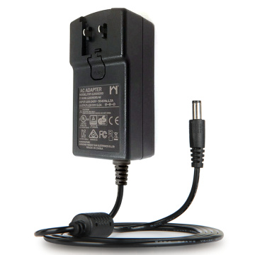 24 V 2A wymienny adapter mocy
