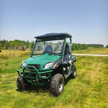 Lvcci Adult Electric UTV 10 kW Electric Side-by-Side for Farm